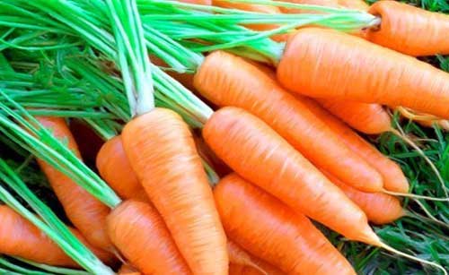 Công dụng tuyệt vời của cà rốt đối với sức khỏe con người