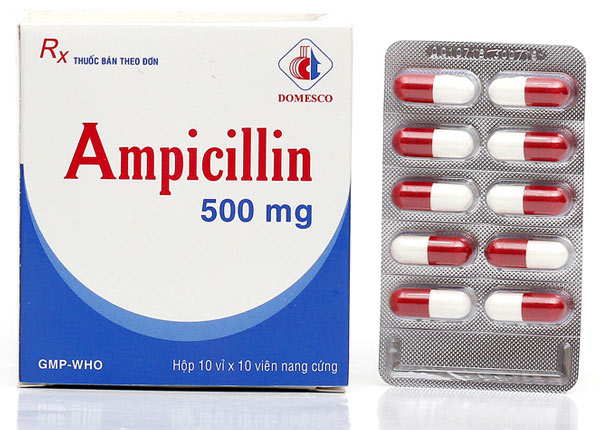 Tìm hiểu công dụng và liều dùng thuốc Ampicillin 500mg